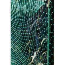 Ambassador Garden Net 15mm Green 6m x 2m