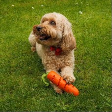 Carrot Treat Dispenser