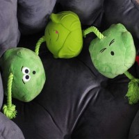 Tugga Sprouts - Dog Toy